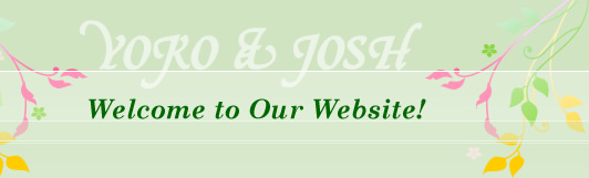 welcome to our website