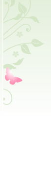 navi_design